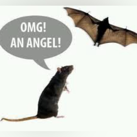 🦇Like to be notified🦇 - Picture 16 of 17